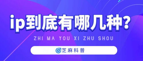 代理IP的種類(lèi)與代理代辦服務(wù)解析
